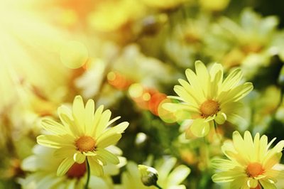 3dmax插件-場景垃圾清理