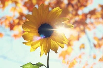 3dmax插件-插件神器第三代